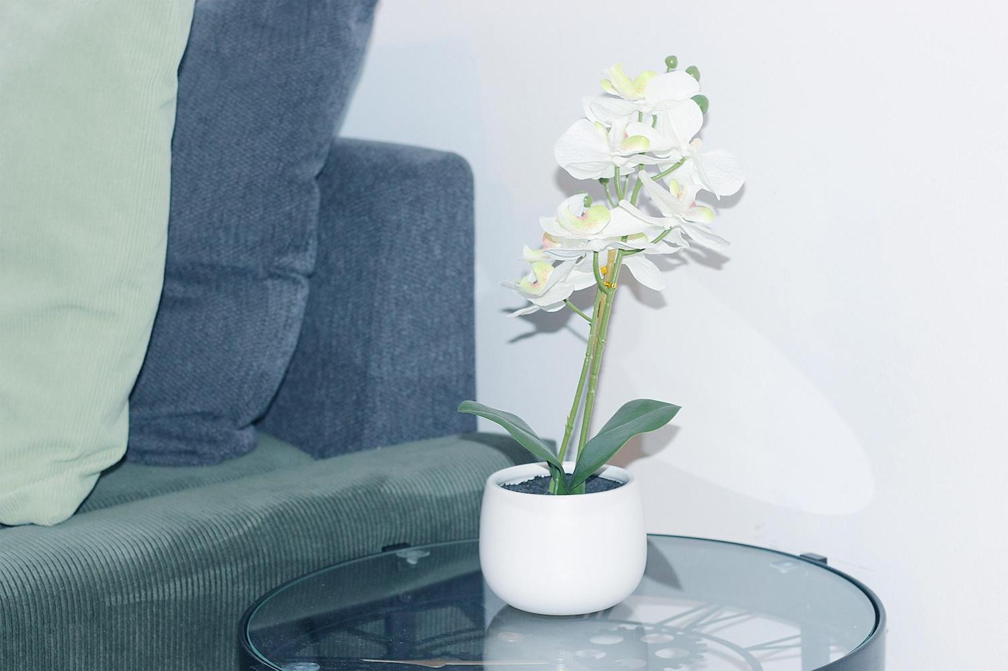 Le Sweet Home, Clim, Parking Prive, Wifi * Reims